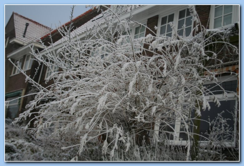 Arnhem Snow 026
